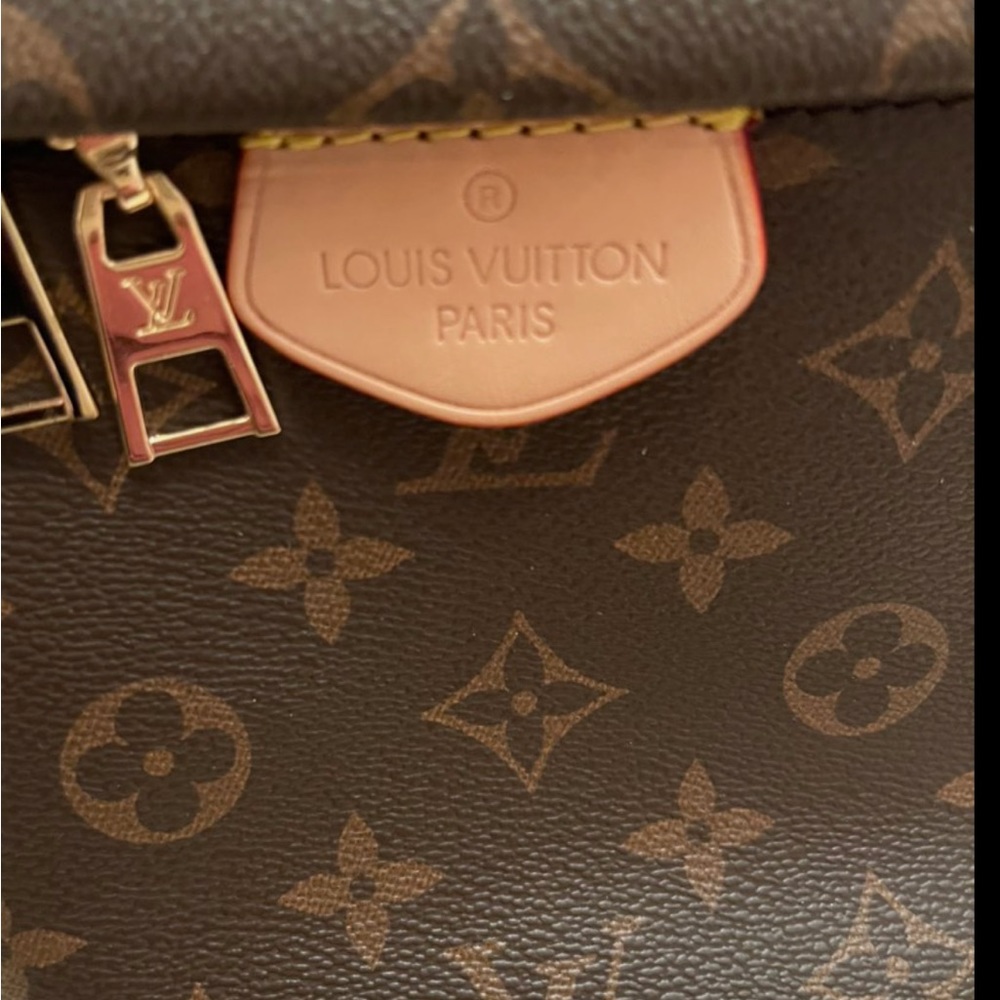 LV Bum Bag